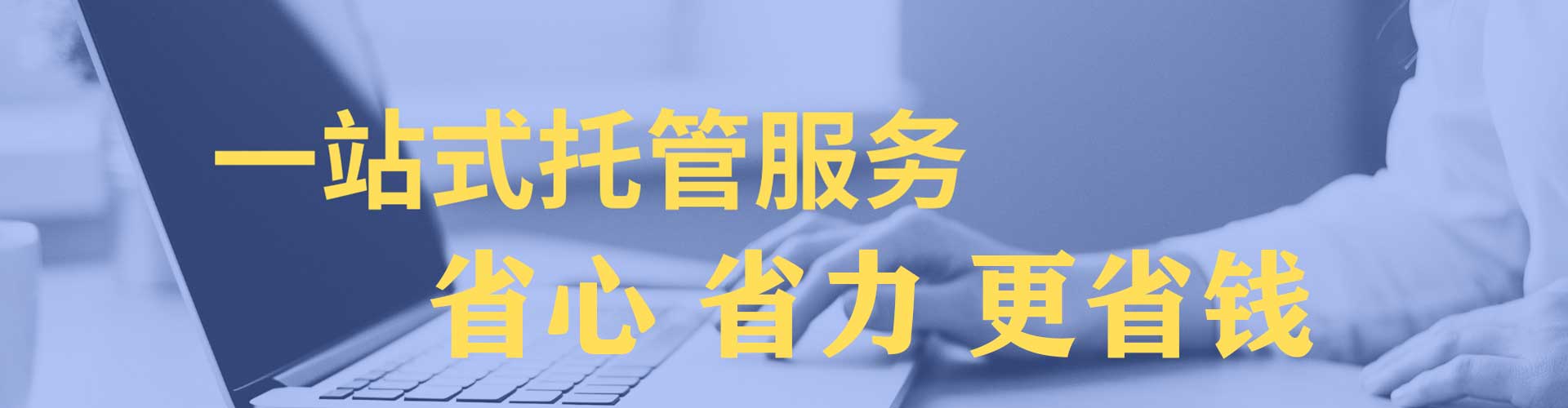 振安sem投放